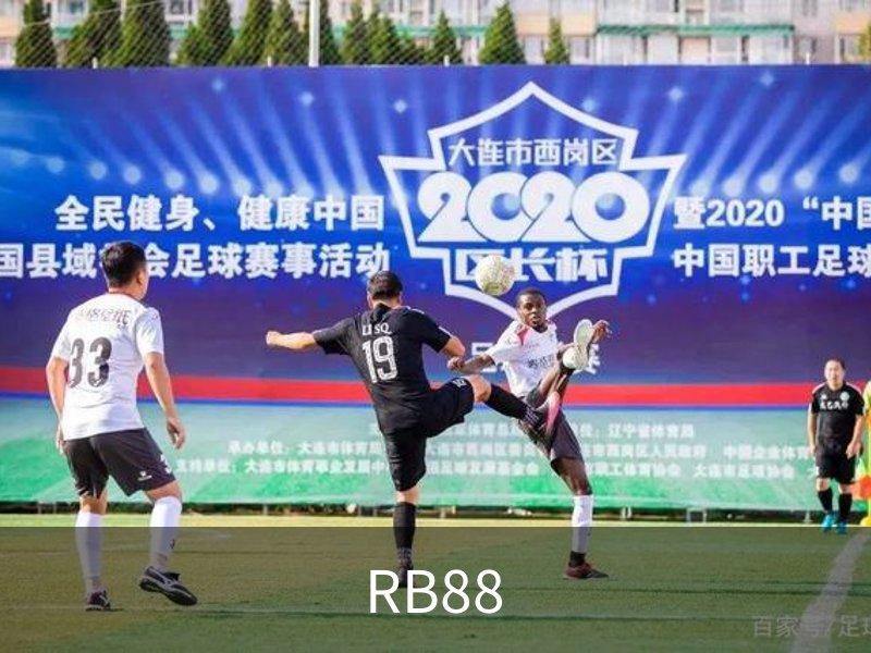 RB88介绍